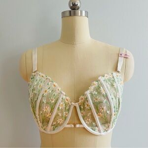 Victorias Secret Dream Angels Daisy Embroidered Push-up Bra- Size 38DDD-NWT